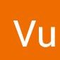 Vu Q